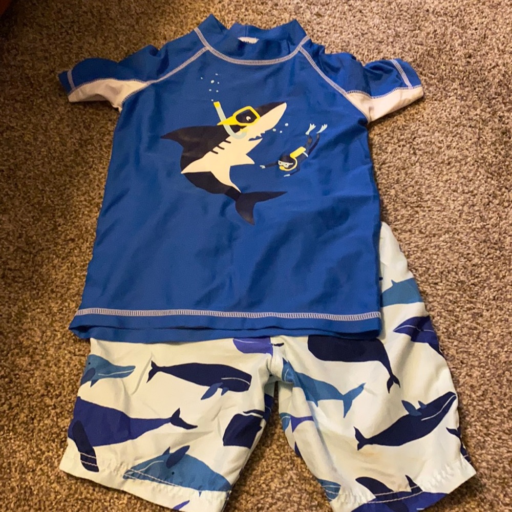 5T shark swim set